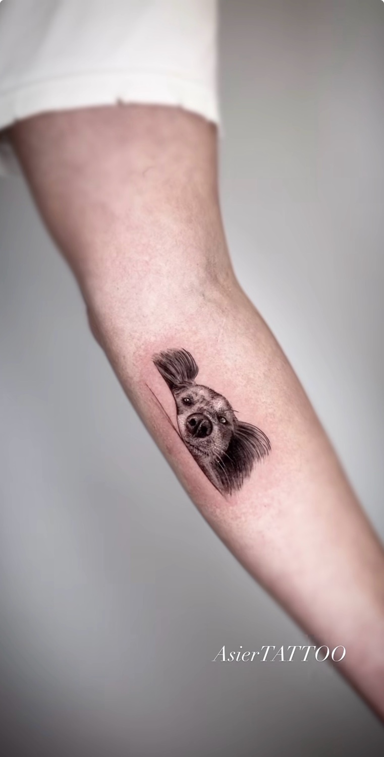 Microrealism pet portrait